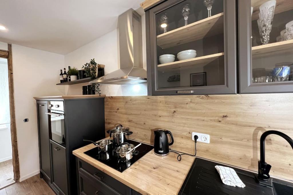 Ar Apartments III I 4 Pers I Modern I Schillerapartment Rudolstadt Dış mekan fotoğraf